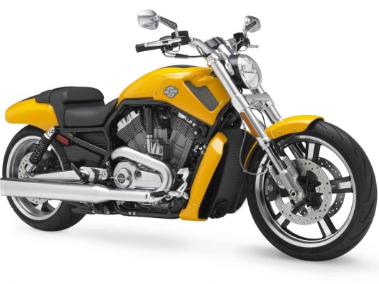 Фото мотоцикла Harley-Davidson V-Rod Muscle